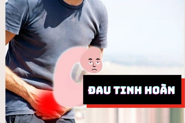 Đau tinh hoàn – Dấu hiệu cảnh báo bệnh lý nam khoa nguy hiểm