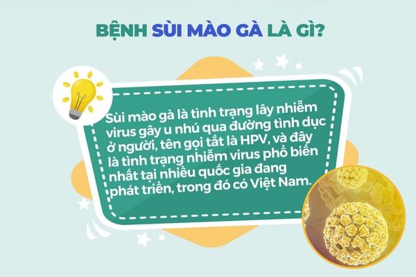 Sùi mào gà là bệnh xã hội phổ biến hiện nay