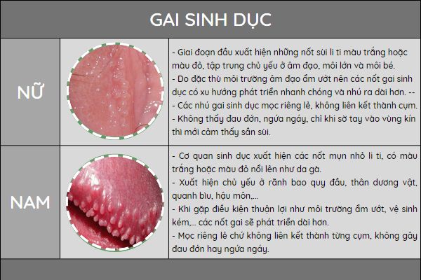 U-nhu-sinh-duc-la-hien-tuong-gi-1