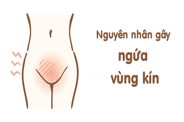 Nguyên nhân gây ngứa vùng kín ở nữ giới