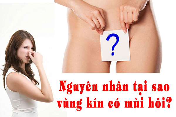 Nguyen_nhan_tai_sao_vung_kin_co_mui_hoi