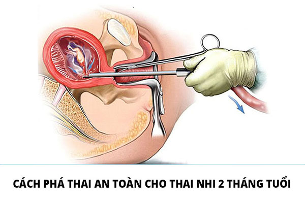 Cach-pha-thai-2-thang-tuoi