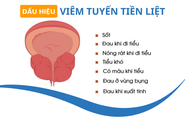 Tong-quan-ve-viem-tuyen-tien-liet-o-nam-gioi-1