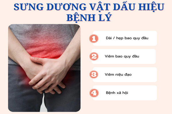 Sưng dương vật - Triệu chứng bệnh lý không nên chủ quan