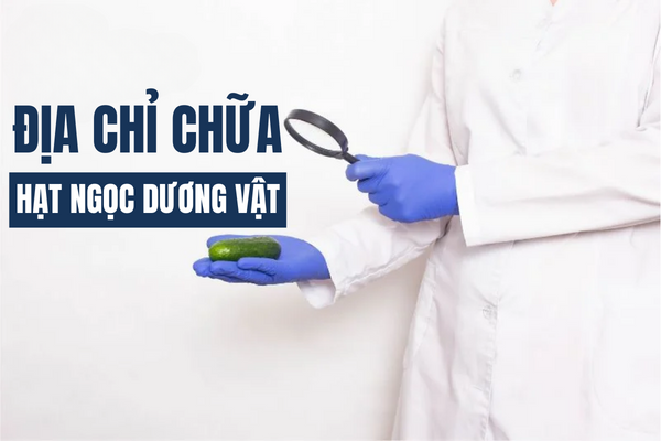 Địa chỉ chữa hạt ngọc dương vật đáng tin cậy.