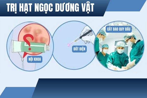 Hat-ngoc-duong-vat-co-lay-khong-2