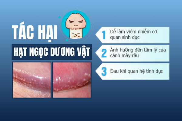 Hat-ngoc-duong-vat-co-lay-khong-3