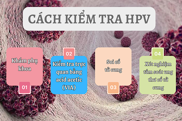 Những các kiểm tra HPV được áp dụng