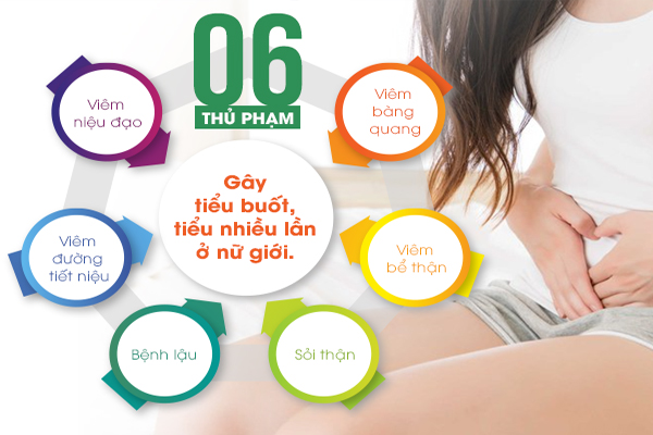 Tiểu nhiều dấu hiệu cảnh báo bệnh lý nữ giới cần chú ý