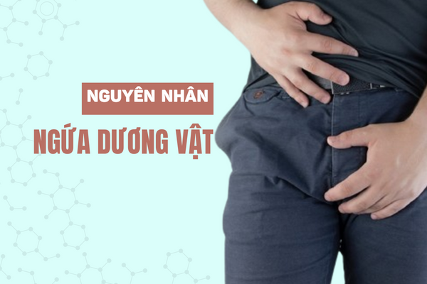 Đâu là nguyên nhân ngứa dương vật?