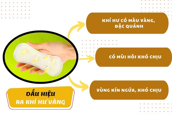 Khí hư màu vàng và cách điều trị hiệu quả