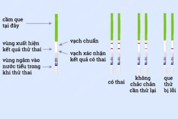 Que-thu-thai