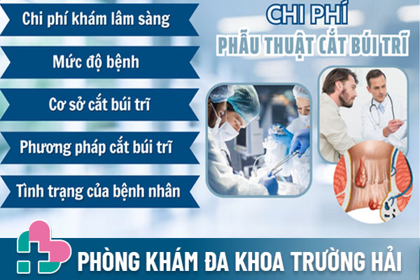 Chi-phi-cat-tri
