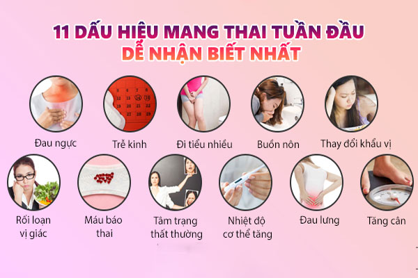 Dau-hieu-mang-thai