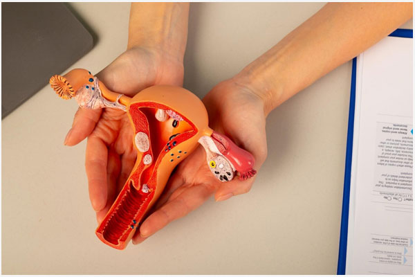 Tư vấn vùng kín nữ: Những vấn đề thường gặp và Cách khắc phục hiệu quả