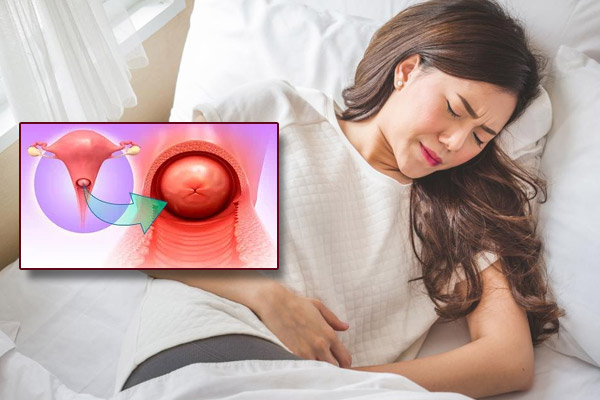 Phi-dai-co-tu-cung-1